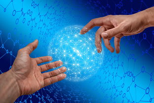 mk体育全站-德国仰泳项目技术稳定提升，德国仰泳项目技术稳定提升方案