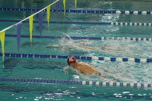 mk sport-张雨霏自由泳赛段发力迅速，张雨霏自由泳实力