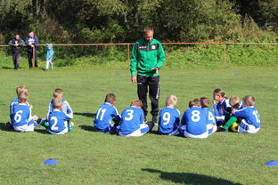 mk体育-卡尔松强在哪?樊振东今晚必须注意这几点,m卡尔松