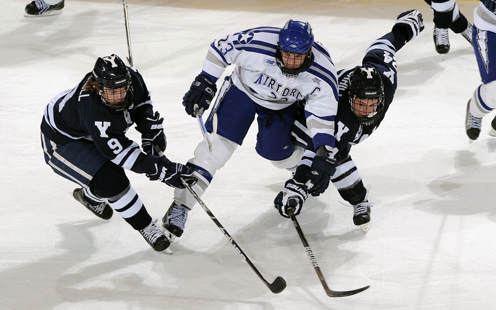“南非羚羊队的未来希望：诺克·达维德·彼得森的飞速成长”